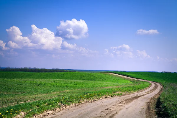 Grünes Gras unter blauem Himmel — Stockfoto