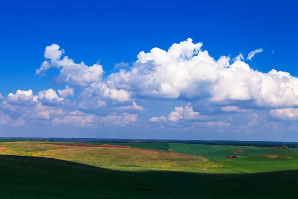 Zelené pole s modré nebe — Stock fotografie