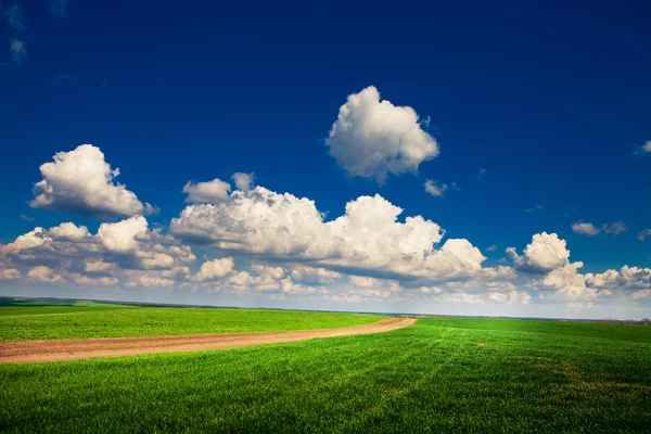 Campo verde con cielo blu — Foto Stock