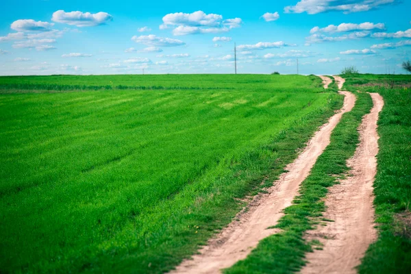 Mavi Cennet ile yeşil alan