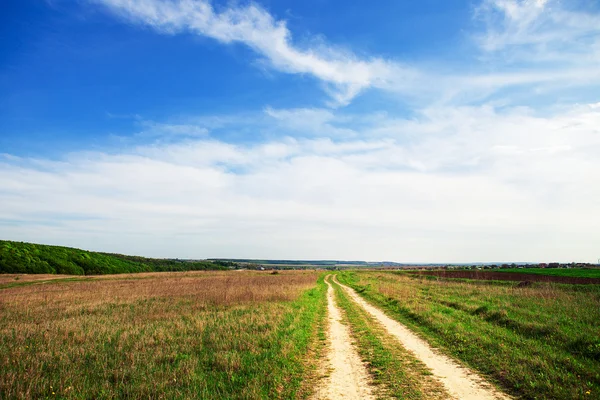 Groen veld met blauwe hemel — Stockfoto