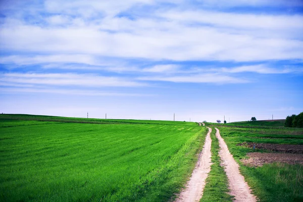 Campo verde com céu azul — Fotografia de Stock