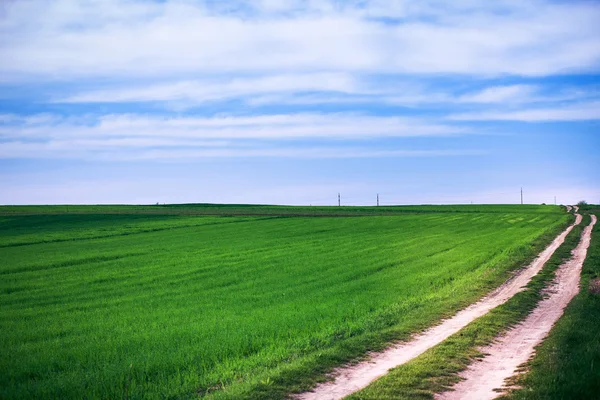 Campo verde com céu azul — Fotografia de Stock