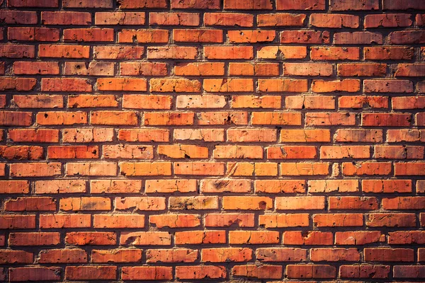 Grunge brick wall background — Stock Photo, Image