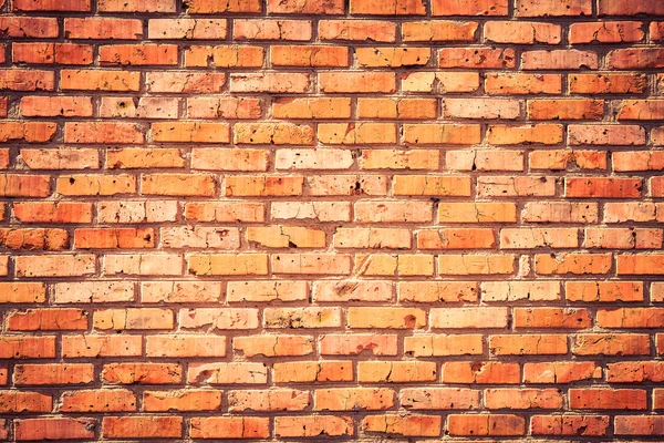 Grunge brick wall background — Stock Photo, Image