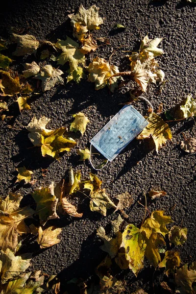 Lékařská obličejová maska ležící na asfaltu s podzimními listy venku — Stock fotografie