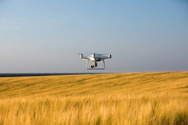 Dron kuadkopteri yazın yeşil alanda uçuyor. Tarım endüstrisinde teknoloji yeniliği
