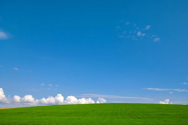 Tepelerdeki Yeşil Çayır Bulutlu Mavi Gökyüzü — Stok fotoğraf
