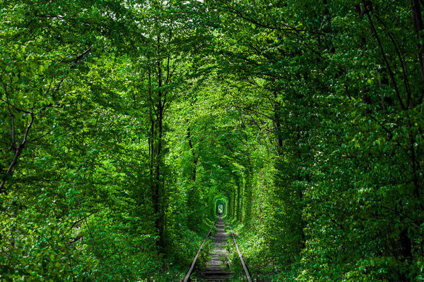 a railway in the spring forest tunnel of love