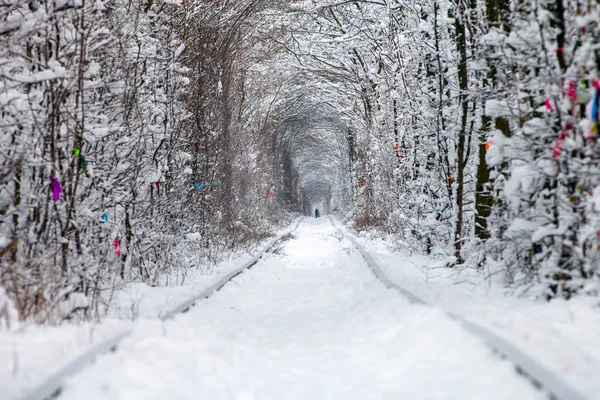 Ferrocarril Túnel Del Bosque Invierno Del Amor — Foto de Stock