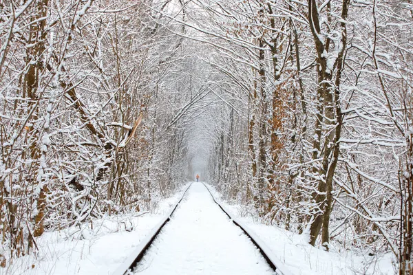 Uma Estrada Ferro Túnel Floresta Inverno Amor — Fotografia de Stock