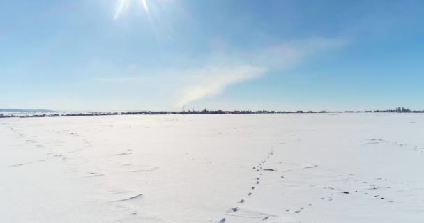 Drone voando no campo de inverno — Vídeo de Stock
