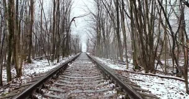 冬のトンネルが好き。鉄道道路と愛の自然トンネル — ストック動画