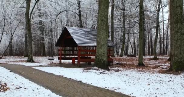 Gazebo de madera en la naturaleza en invierno — Vídeo de stock