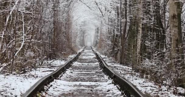 Túnel de amor en invierno. Túnel natural de amor con carretera ferroviaria — Vídeos de Stock