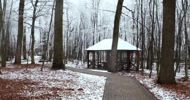 Houten tuinhuisje in de natuur in de winter — Stockvideo