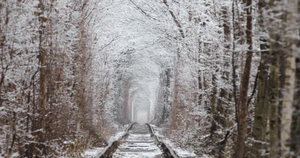 Τούνελ αγάπης το χειμώνα. Φυσική σήραγγα της αγάπης με το σιδηροδρομικό δρόμο — Αρχείο Βίντεο