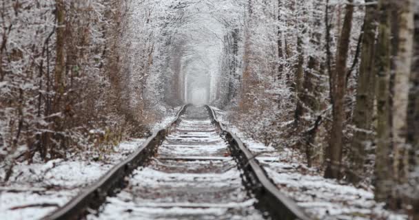 Любовь туннель зимой. Природная любовь с железной дорогой — стоковое видео