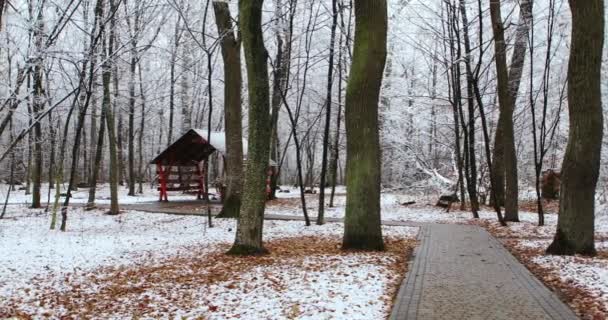 Dřevěný altán v přírodě v zimě — Stock video