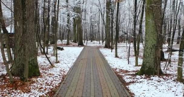 Gazebo de madera en la naturaleza en invierno — Vídeo de stock