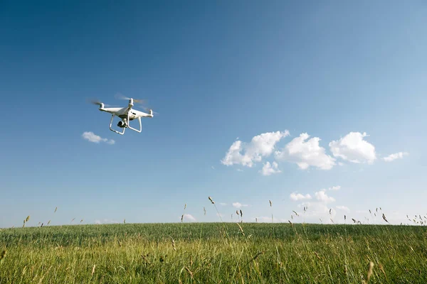 Dron kuadkopteri yazın yeşil alanda uçuyor.