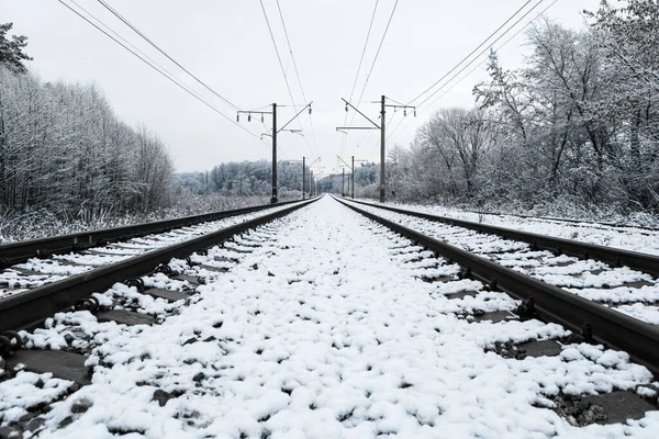 Railway in snow. Winter landscape with empty rail tracks — Stock Photo, Image