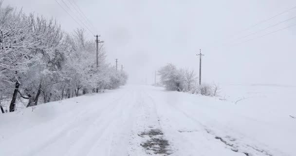 Camino de invierno a través del bosque — Vídeos de Stock