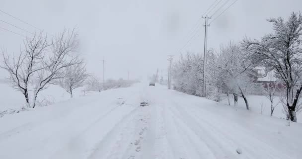 Strada invernale attraverso la foresta — Video Stock