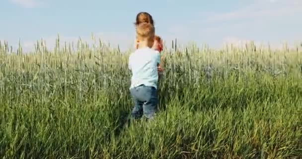 Boldog gyerekek szaladnak át a zöld búzamezőn — Stock videók