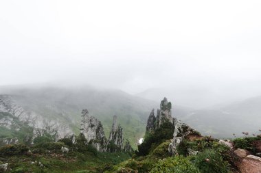 Dağ tepesi yolu panoramik manzara