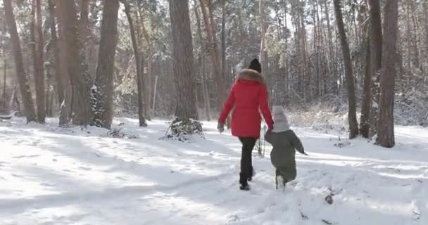 Mother and child walking in the winter forest — Stockvideo