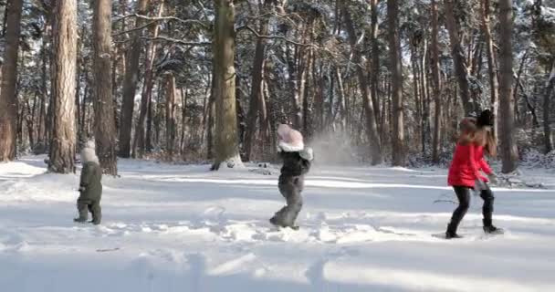 Happy mother and child playing in the snow with a sledge in a sunny winter day — Stockvideo