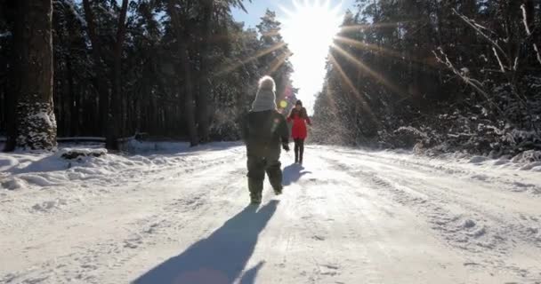 Happy mother and child playing in the snow with a sledge in a sunny winter day — 图库视频影像