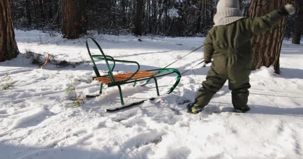 Cute young boys and girl sledging in the snow. — Stockvideo