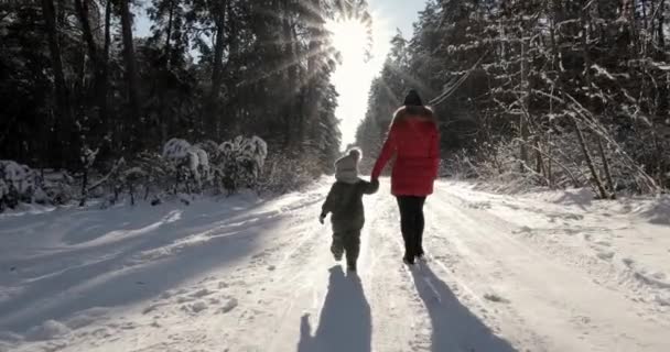 Mother and child walking in the winter forest — Stockvideo