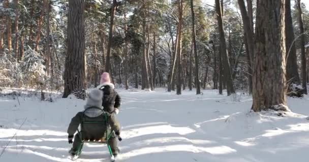 Cute young boys and girl sledging in the snow. — Stockvideo