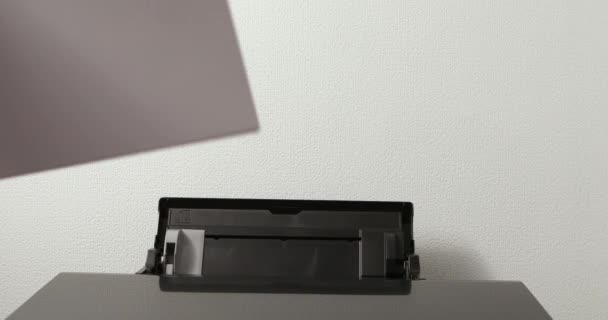 Office worker loading paper into printer — Vídeo de stock