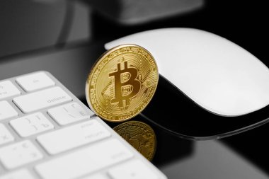 Bitcoin ile model ödeme