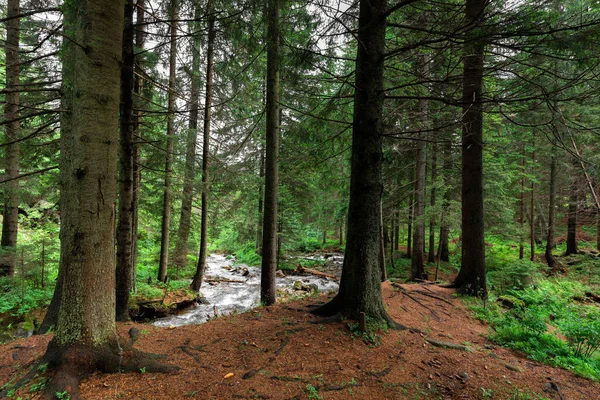 Krásný horský vodopád se stromy v pozadí — Stock fotografie