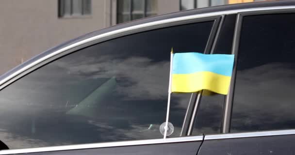 कार के अंदर कांच पर यूक्रेनी ध्वज। युद्ध बंद करो — स्टॉक वीडियो