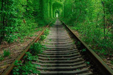 Bahar ormanı aşk tünelinde bir demiryolu..