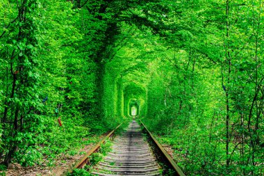 Bahar ormanı aşk tünelinde bir demiryolu..