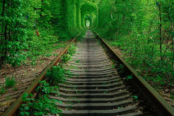 Ferrocarril Túnel Del Bosque Primavera Del Amor — Foto de Stock