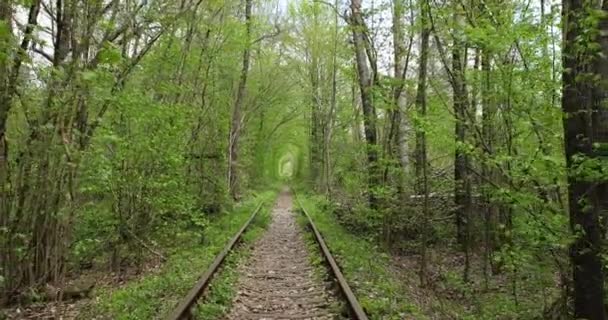 Μιας σιδηροδρομικής γραμμής στο δάσος άνοιξη. τούνελ της αγάπης — Αρχείο Βίντεο