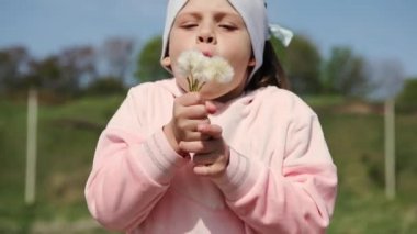 Little girl blows a dandelion.