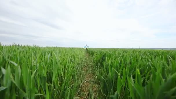 Niña con bandera ucraniana en el campo de trigo. — Vídeo de stock