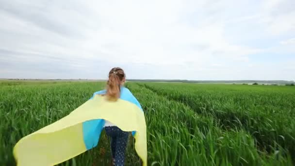 Κοριτσάκι με την ουκρανική σημαία στον τομέα του σιταριού. — Αρχείο Βίντεο