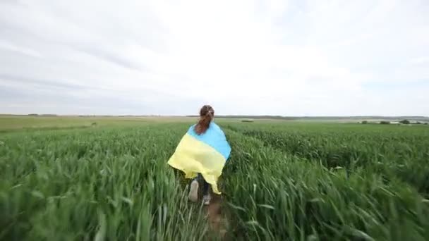 Liten flicka med ukrainsk flagga i vetefält. — Stockvideo