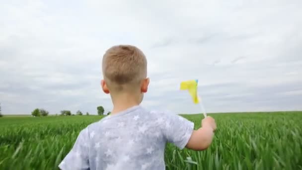 Mały chłopiec z ukraińską flagą na polu pszenicy. — Wideo stockowe