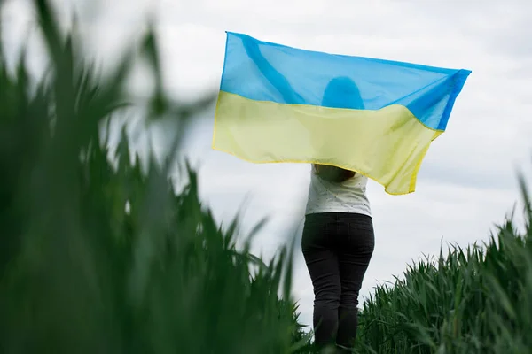 Жінка Українським Прапором Пшениці Щаслива Жінка Святкує День Незалежності — стокове фото